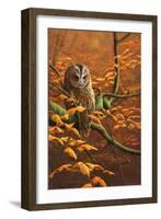 Autumn Tawny Owl-Jeremy Paul-Framed Giclee Print