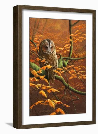 Autumn Tawny Owl-Jeremy Paul-Framed Giclee Print