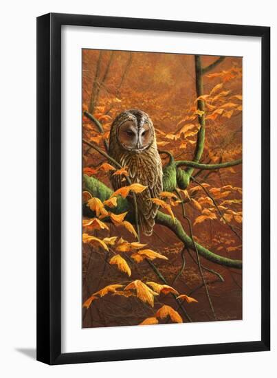 Autumn Tawny Owl-Jeremy Paul-Framed Giclee Print