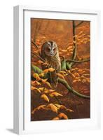 Autumn Tawny Owl-Jeremy Paul-Framed Giclee Print