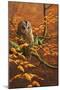 Autumn Tawny Owl-Jeremy Paul-Mounted Giclee Print