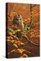Autumn Tawny Owl-Jeremy Paul-Stretched Canvas