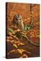 Autumn Tawny Owl-Jeremy Paul-Stretched Canvas