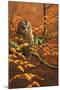 Autumn Tawny Owl-Jeremy Paul-Mounted Giclee Print