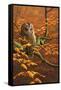 Autumn Tawny Owl-Jeremy Paul-Framed Stretched Canvas