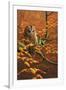 Autumn Tawny Owl-Jeremy Paul-Framed Giclee Print