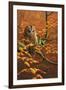 Autumn Tawny Owl-Jeremy Paul-Framed Giclee Print