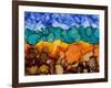 Autumn Terrain II-Regina Moore-Framed Art Print