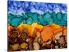 Autumn Terrain II-Regina Moore-Stretched Canvas