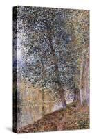 Autumn, the Banks of the Loing; L'Autumne, Bords Du Loing, 1880-Alfred Sisley-Stretched Canvas