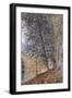 Autumn, the Banks of the Loing-Alfred Sisley-Framed Giclee Print