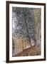 Autumn, the Banks of the Loing-Alfred Sisley-Framed Giclee Print