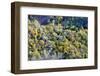 Autumn Time in the Serra Da Estrela Nature Park, Portugal-Mauricio Abreu-Framed Photographic Print