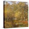 Autumn Time-Clive Madgwick-Stretched Canvas