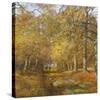 Autumn Time-Clive Madgwick-Stretched Canvas