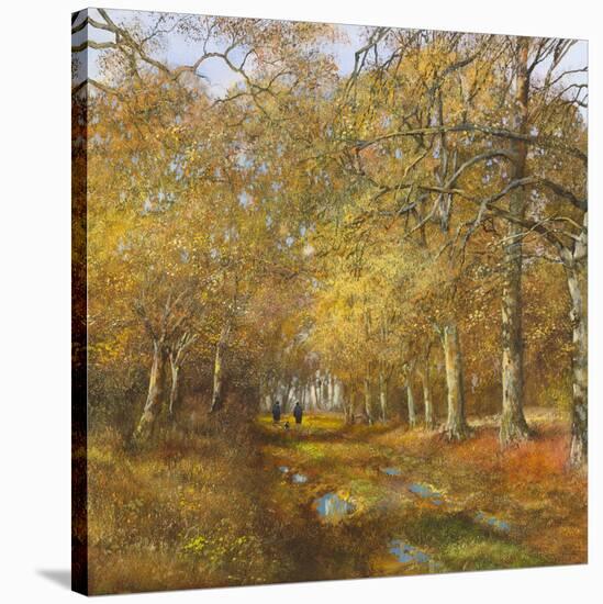 Autumn Time-Clive Madgwick-Stretched Canvas