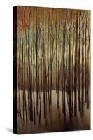 Autumn Time-Tim O'toole-Stretched Canvas