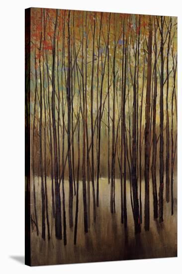 Autumn Time-Tim O'toole-Stretched Canvas