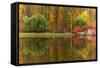 Autumn Tints of Nature,Park in Autumn Tints is Reflected in Silent Pond,Autumn,Autumn Winter,Fall P-Photosite-Framed Stretched Canvas