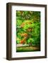 Autumn touch-Philippe Sainte-Laudy-Framed Photographic Print