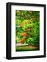 Autumn touch-Philippe Sainte-Laudy-Framed Photographic Print