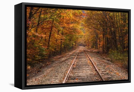 Autumn Tracks into Fall, Bartlett, New Hampshire-Vincent James-Framed Stretched Canvas