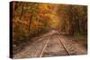Autumn Tracks into Fall, Bartlett, New Hampshire-Vincent James-Stretched Canvas