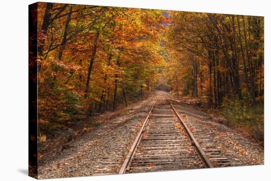 Autumn Tracks into Fall, Bartlett, New Hampshire-Vincent James-Stretched Canvas