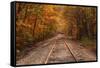 Autumn Tracks into Fall, Bartlett, New Hampshire-Vincent James-Framed Stretched Canvas