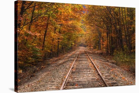 Autumn Tracks into Fall, Bartlett, New Hampshire-Vincent James-Stretched Canvas