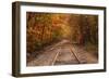 Autumn Tracks into Fall, Bartlett, New Hampshire-Vincent James-Framed Premium Photographic Print