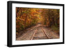 Autumn Tracks into Fall, Bartlett, New Hampshire-Vincent James-Framed Premium Photographic Print