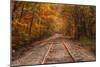 Autumn Tracks into Fall, Bartlett, New Hampshire-Vincent James-Mounted Premium Photographic Print