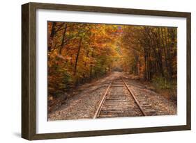 Autumn Tracks into Fall, Bartlett, New Hampshire-Vincent James-Framed Photographic Print