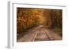 Autumn Tracks into Fall, Bartlett, New Hampshire-Vincent James-Framed Photographic Print