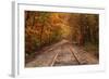 Autumn Tracks into Fall, Bartlett, New Hampshire-Vincent James-Framed Photographic Print