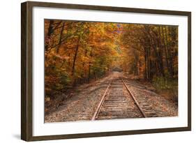 Autumn Tracks into Fall, Bartlett, New Hampshire-Vincent James-Framed Photographic Print