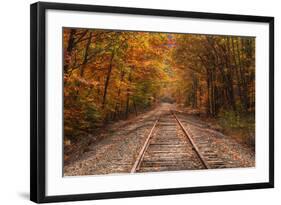Autumn Tracks into Fall, Bartlett, New Hampshire-Vincent James-Framed Photographic Print