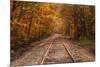 Autumn Tracks into Fall, Bartlett, New Hampshire-Vincent James-Mounted Photographic Print