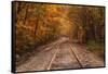 Autumn Tracks into Fall, Bartlett, New Hampshire-Vincent James-Framed Stretched Canvas