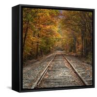 Autumn Tracks (Square), New Hampshire-Vincent James-Framed Stretched Canvas