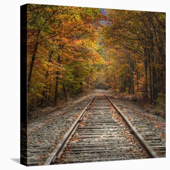 Autumn Tracks (Square), New Hampshire-Vincent James-Stretched Canvas