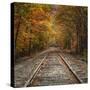 Autumn Tracks (Square), New Hampshire-Vincent James-Stretched Canvas