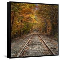 Autumn Tracks (Square), New Hampshire-Vincent James-Framed Stretched Canvas