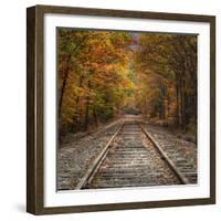 Autumn Tracks (Square), New Hampshire-Vincent James-Framed Photographic Print