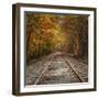 Autumn Tracks (Square), New Hampshire-Vincent James-Framed Photographic Print