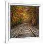 Autumn Tracks (Square), New Hampshire-Vincent James-Framed Photographic Print