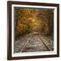 Autumn Tracks (Square), New Hampshire-Vincent James-Framed Photographic Print