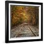 Autumn Tracks (Square), New Hampshire-Vincent James-Framed Photographic Print