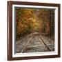 Autumn Tracks (Square), New Hampshire-Vincent James-Framed Photographic Print